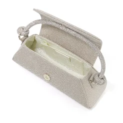Dune London BRYNLEY - GOLD- Handbags | Clutch Bags