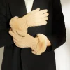 Dune London ISABELLO - CAMEL- Accessories
