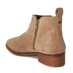 Dune London PROGRESS - TAUPE-Women Ankle Boots