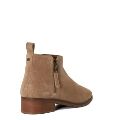 Dune London PROGRESS - TAUPE-Women Ankle Boots